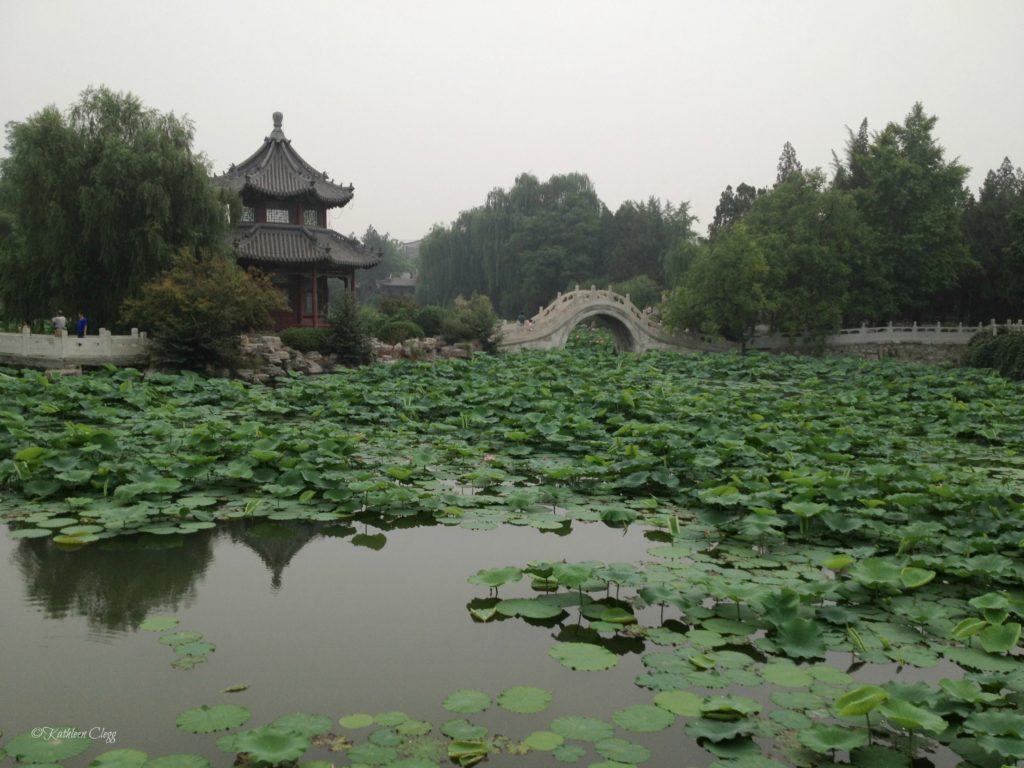 Baoding China Lotus Gardens