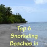 Top 6 Snorkeling Beaches in Martinique