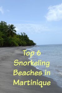 Top 6 Snorkeling Beaches in Martinique