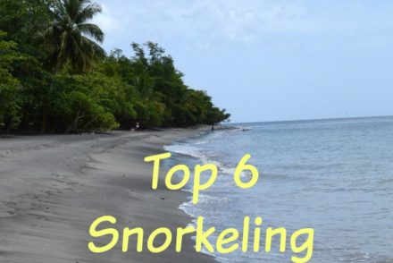 Top 6 Snorkeling Beaches in Martinique