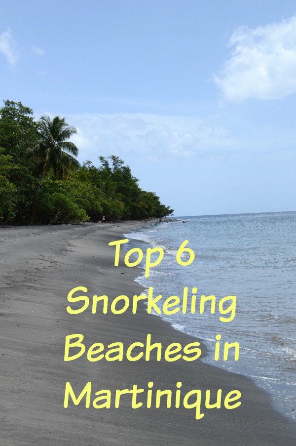 Top 6 Snorkeling Beaches in Martinique 