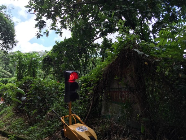 10 Things You Will See on Your Visit Martinique