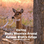 Rocky Mountain Arsenal National Wildlife Refuge
