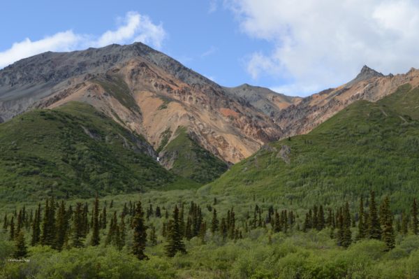 My 5 Favorite Places Alaska