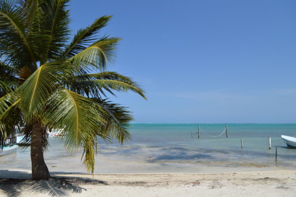 Great Restaurants on Caye Caulker Belize