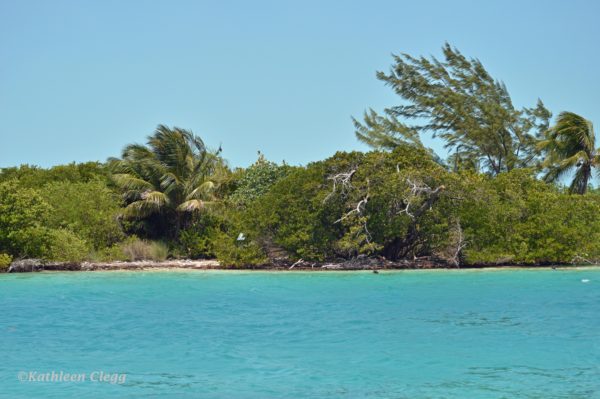 Have Fun and Relax on Caye Caulker Belize