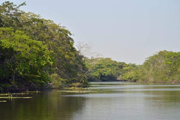 Lamanai Mayan Ruins New River Cruise