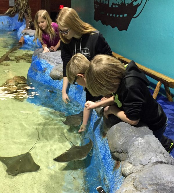 East Idaho Aquarium - Idaho Falls