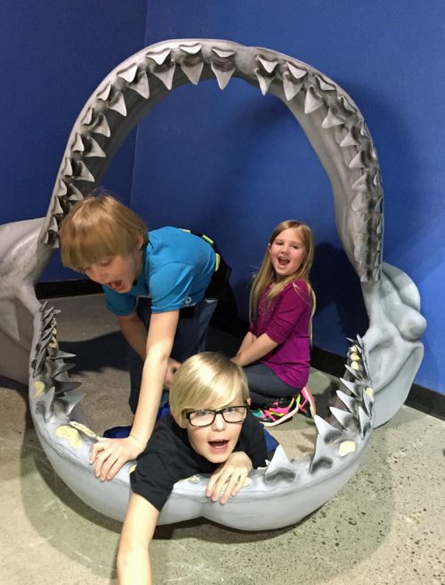 East Idaho Aquarium - Idaho Falls