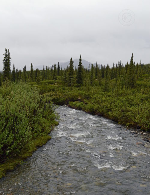 Denali Highway Alaska Road Trip