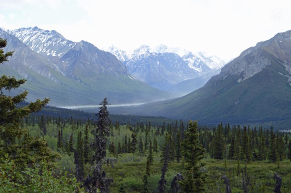 Denali Highway Alaska Road Trip