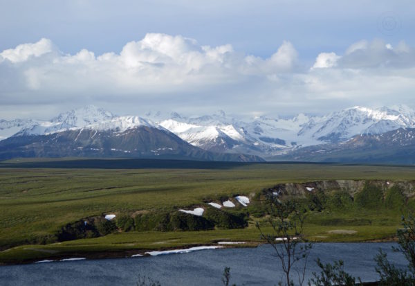 Denali Highway Alaska Road Trip