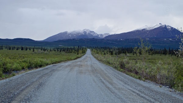 Denali Highway Alaska Road Trip