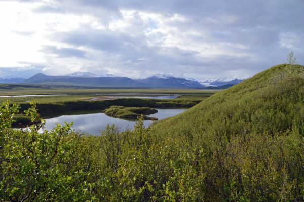 Denali Highway Alaska Road Trip