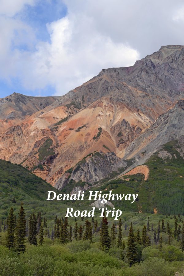 Denali Highway Alaska Road Trip