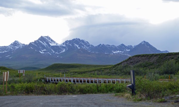 Denali Highway Alaska Road Trip