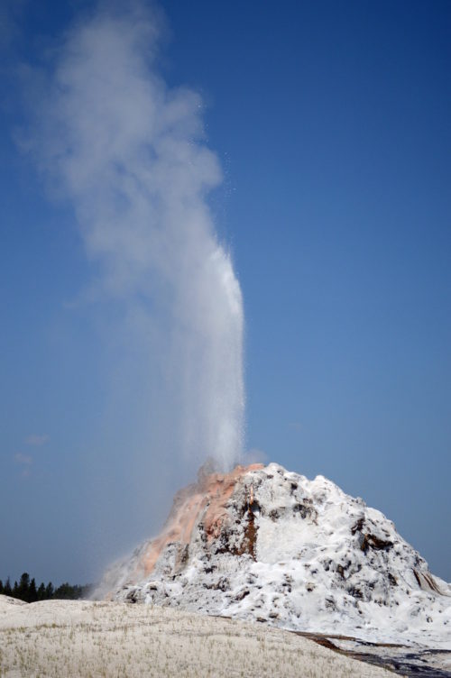 Yellowstone National Park Visitors Guide Dome Geyser