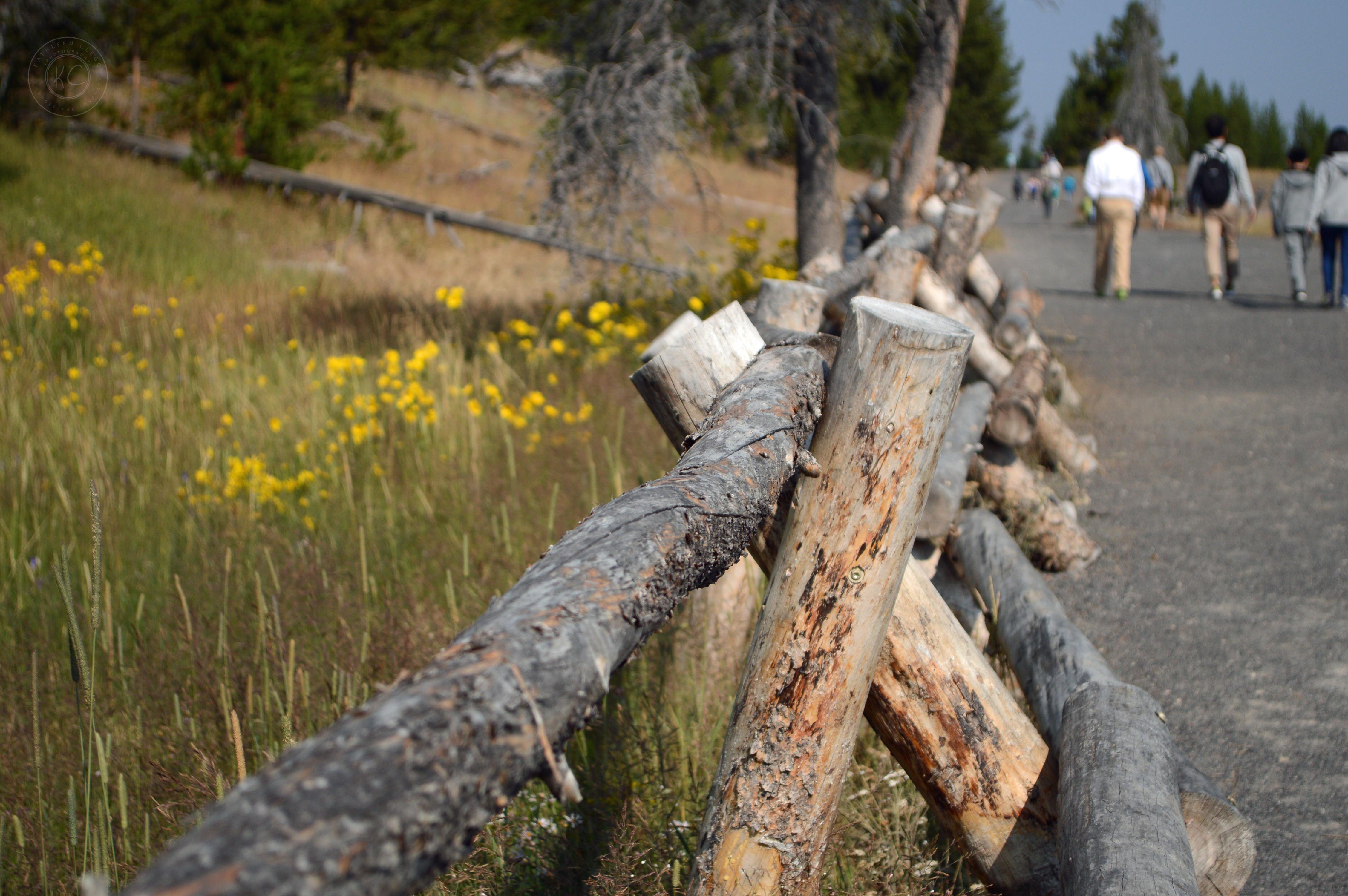 Yellowstone National Park Visitors Guide Wood Fence