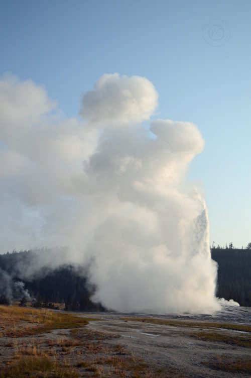Yellowstone National Park Visitors Guide Old Faithful