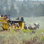 Yellowstone National Park Visitors Guide