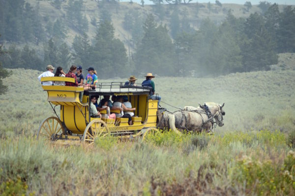 Yellowstone National Park Visitors Guide