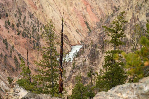 Yellowstone National Park Visitors Guide