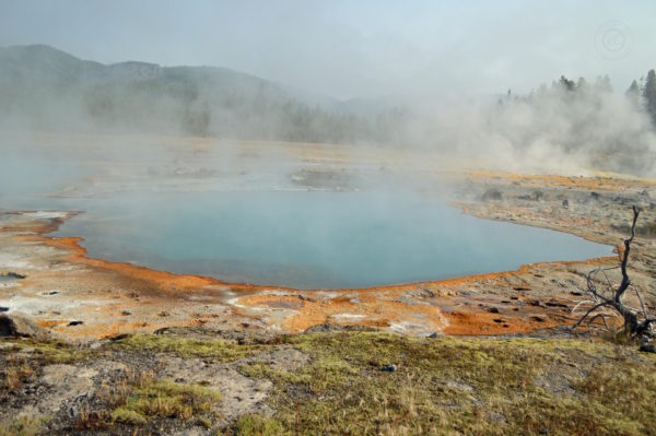 Yellowstone National Park Visitors Guide