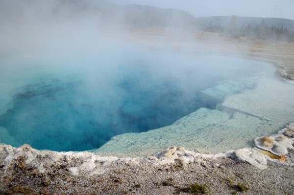 Yellowstone National Park Visitors Guide