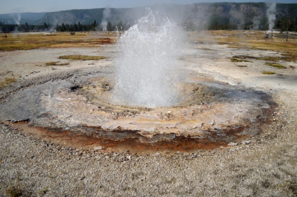 Yellowstone National Park Visitors Guide