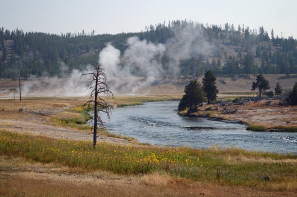 Yellowstone National Park Visitors Guide