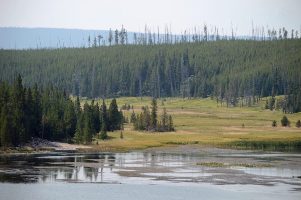 Yellowstone National Park Visitors Guide