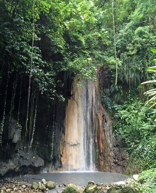Diamond Botanical Gardens Saint Lucia Diamond Waterfall pebblepirouette.com #caribbean #saintlucia #botanicalgardens #flowers #tropicalflowers #diamondwaterfall