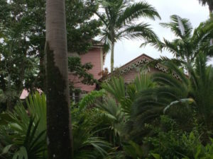 Saint Lucia Explore the Quiet Side pebblepirouette.com #saintlucia #stlucia #caribbean #laborie #pinkplantation