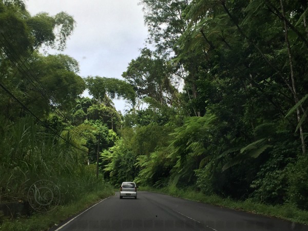 Saint Lucia Explore the Quiet Side pebblepirouette.com #saintlucia #stlucia #caribbean #laborie #pinkplantation