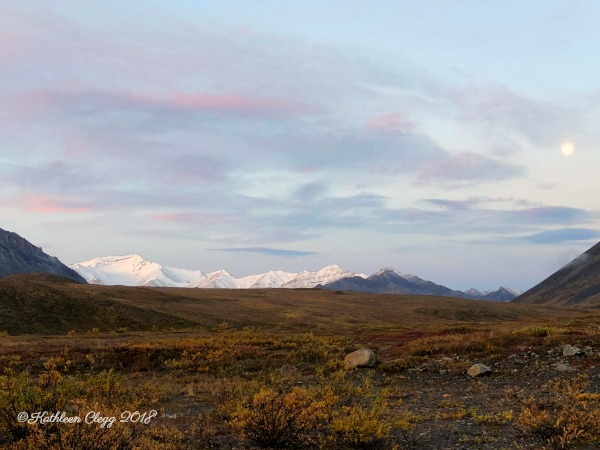 4 Day Dalton Highway Road Trip pebble pirouette.com #alaska #daltonhighway #roadtrip #nature