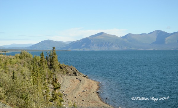 Alaska Highway Roadtrip #alcanhighway #alaskahighway #roadtrip #canada #alaska #roadtrip pebblepirouette.com