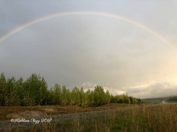 Alaska Highway Roadtrip #alcanhighway #alaskahighway #roadtrip #canada #alaska #roadtrip pebblepirouette.com