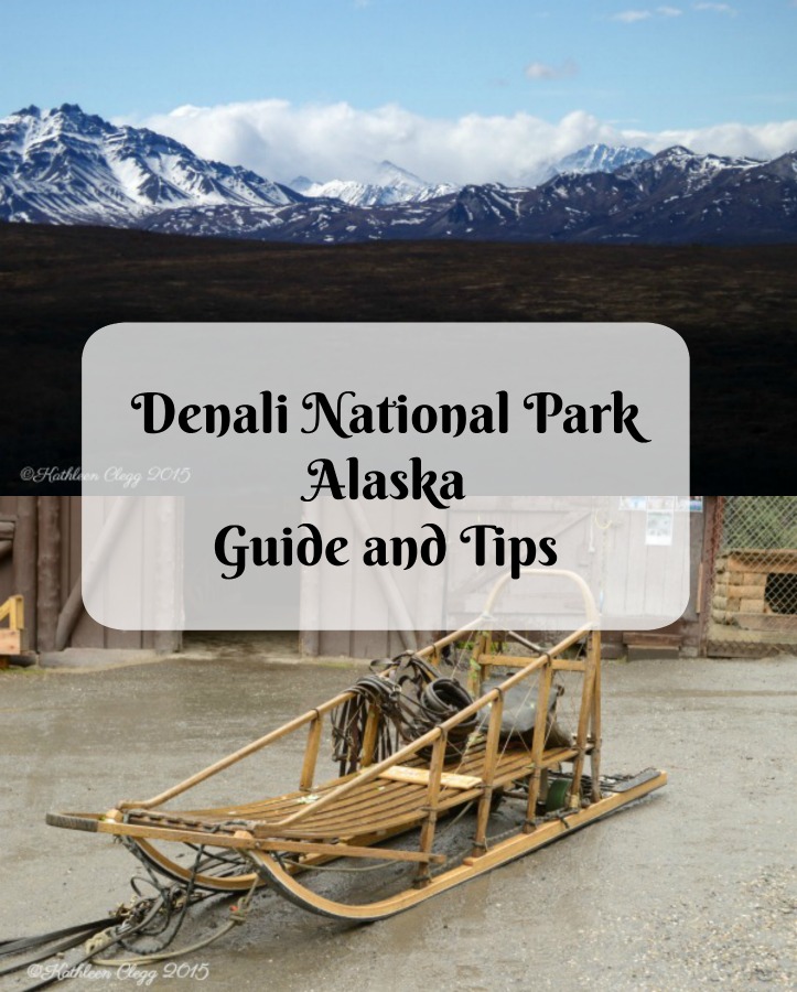 Denali National Park Guide and Tips pebblepirouette.com #denalinationalpark #denali #alaska #nationalparks