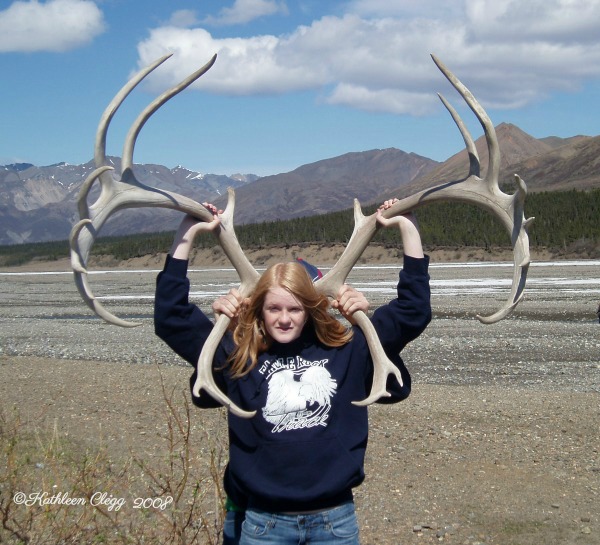 Denali National Park Guide and Tips pebblepirouette.com #denalinationalpark #denali #alaska #nationalparks