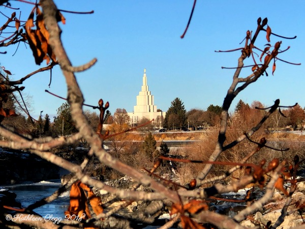 Viewing Christmas Lights in Idaho Falls #Christmas #Christmaslights #Idaho #IdahoFalls #VillasDowntownLoft #HistoricDowntownIdahoFalls 