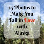 25 Photos to Make You Fall in Love with Alaska pebblepirouette.com #alaska #photos #photography #nature #travel #wildlife