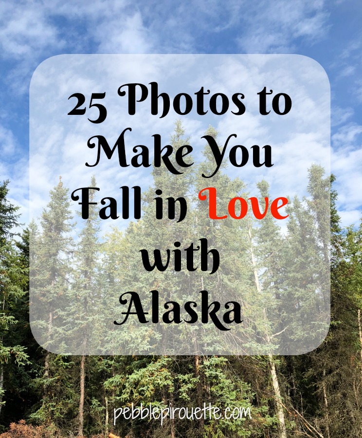 25 Photos to Make You Fall in Love with Alaska pebblepirouette.com #alaska #photos #photography #nature #travel #wildlife