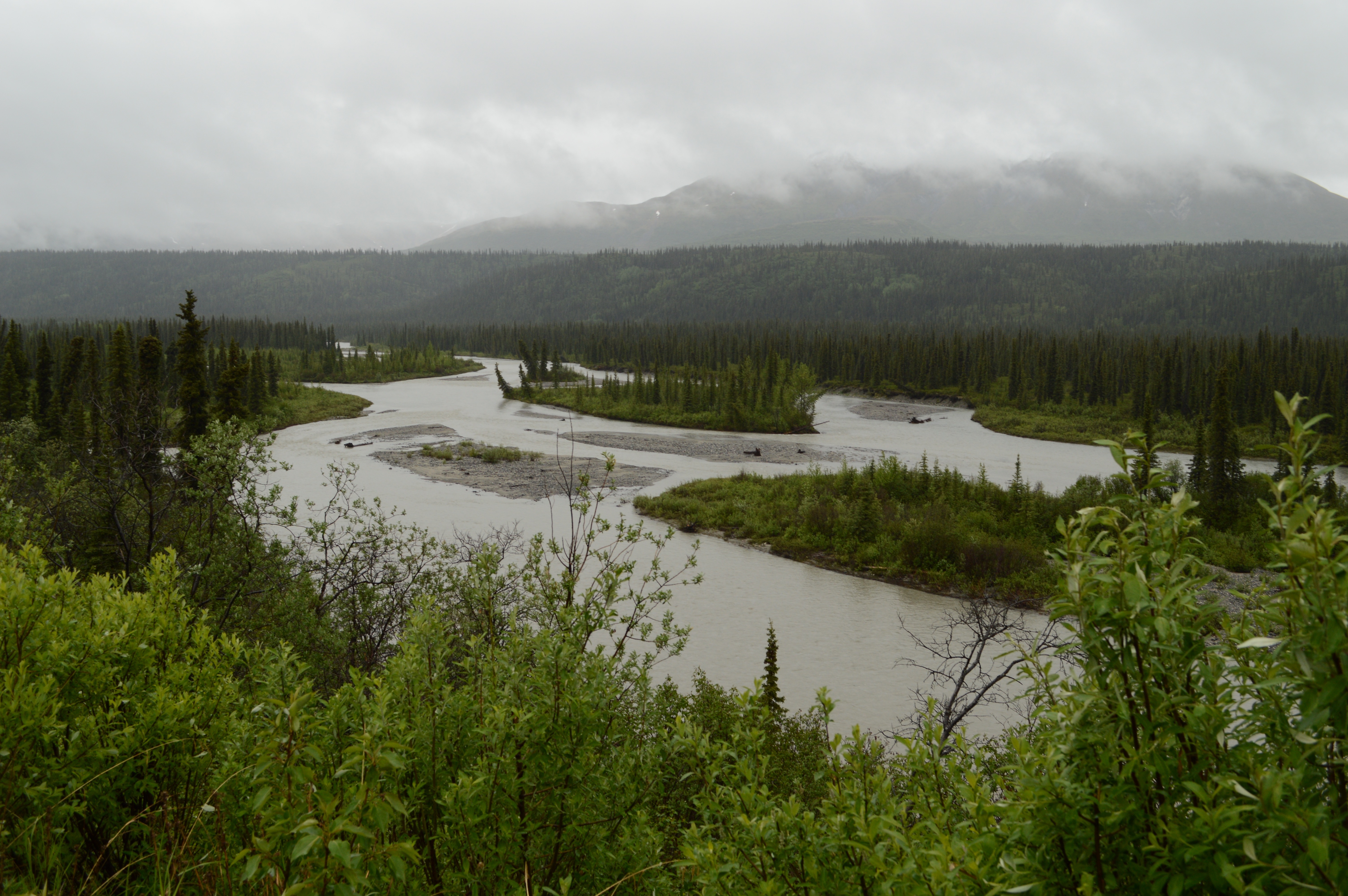 25 Photos to Make You Fall in Love with Alaska pebblepirouette.com #alaska #photos #photography #nature #travel #wildlife