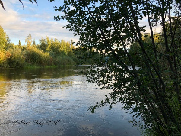 25 Photos to Make You Fall in Love with Alaska pebblepirouette.com #alaska #photos #photography #nature #travel #wildlife