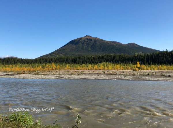 25 Photos to Make You Fall in Love with Alaska pebblepirouette.com #alaska #photos #photography #nature #travel #wildlife