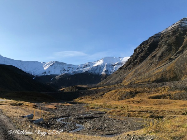 25 Photos to Make You Fall in Love with Alaska pebblepirouette.com #alaska #photos #photography #nature #travel #wildlife