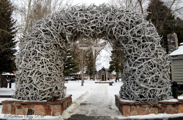 Day Trip to Jackson, Wyoming pebblepirouette.com #wyoming #jacksonwyoming #daytrip #wildlife #nationalelkrefuge