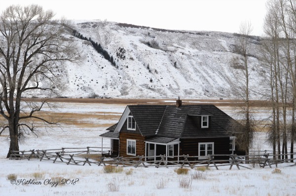 Day Trip to Jackson, Wyoming pebblepirouette.com #wyoming #jacksonwyoming #daytrip #wildlife #nationalelkrefuge