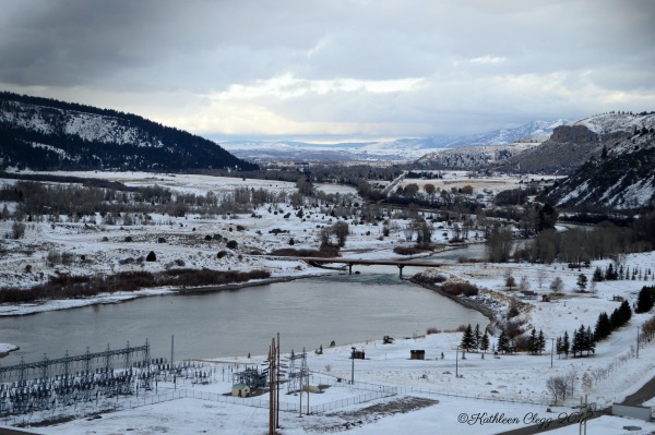 Day Trip to Jackson, Wyoming pebblepirouette.com #wyoming #jacksonwyoming #daytrip #wildlife #nationalelkrefuge