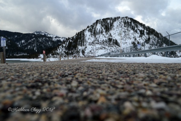 Day Trip to Jackson, Wyoming pebblepirouette.com #wyoming #jacksonwyoming #daytrip #wildlife #nationalelkrefuge